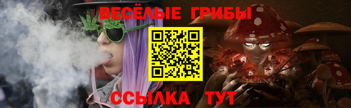 Балтийск  Галлюциногенные грибы Psilocybine cubensis  Вход с VPN 